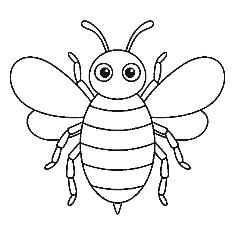 Step-by-step drawing sheet: a bumblebee in flight seen from the front, built up over six frames from the wings and head to the striped body, legs and antennae, black outlines on white