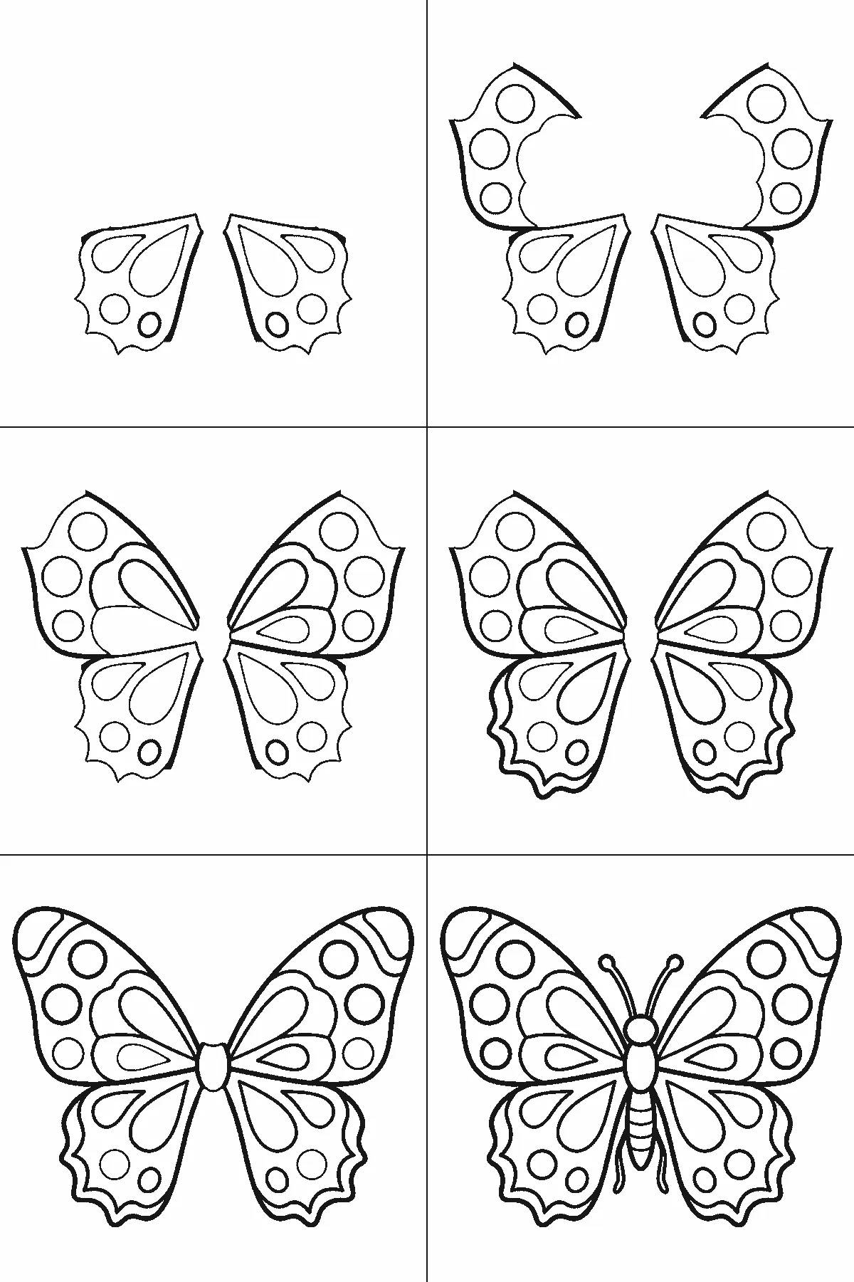 Step-by-step drawing sheet: a butterfly seen from above, built up over six frames from the two lower wings to the upper pair, then their spots and teardrop markings, and the body and antennae last, black outlines on white