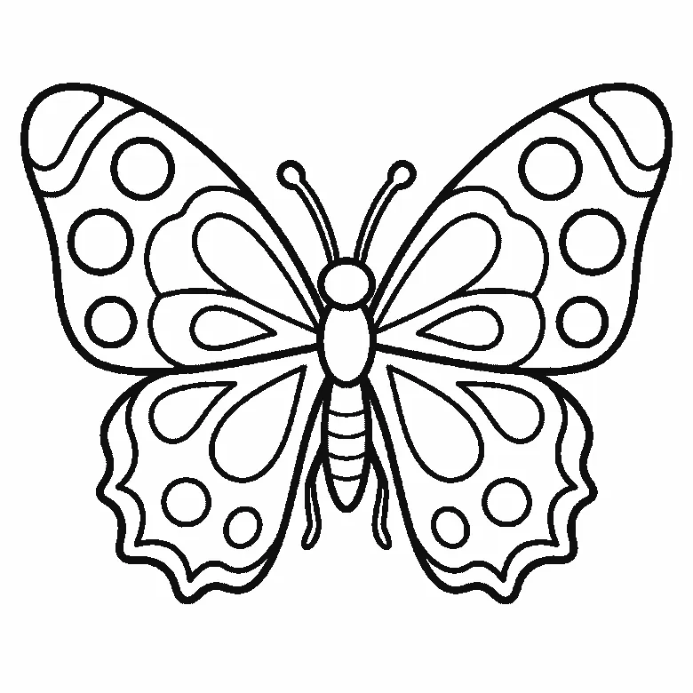 Step-by-step drawing sheet: a butterfly seen from above, built up over six frames from the two lower wings to the upper pair, then their spots and teardrop markings, and the body and antennae last, black outlines on white