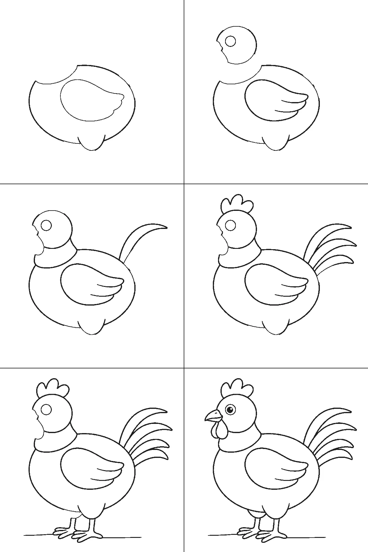 Step-by-step drawing sheet: a plump hen standing side-on, built up over six frames from the body alone to the head and folded wing, then the neck, the comb and the legs, with the beak, wattle and eye last, black outlines on white