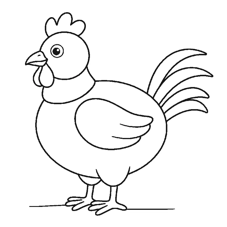 Step-by-step drawing sheet: a plump hen standing side-on, built up over six frames from the body alone to the head and folded wing, then the neck, the comb and the legs, with the beak, wattle and eye last, black outlines on white