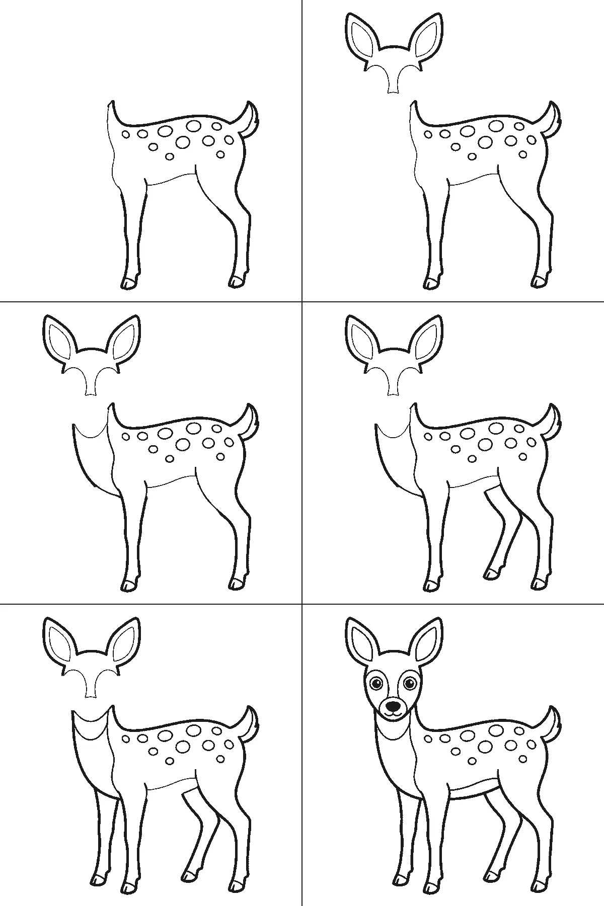 Step-by-step drawing sheet: a young deer standing side-on, built up over six frames from the spotted body with no head to the ears and head outline, then the neck and the far legs, with the whole face — eyes, mask, nose and mouth — last, black outlines on white