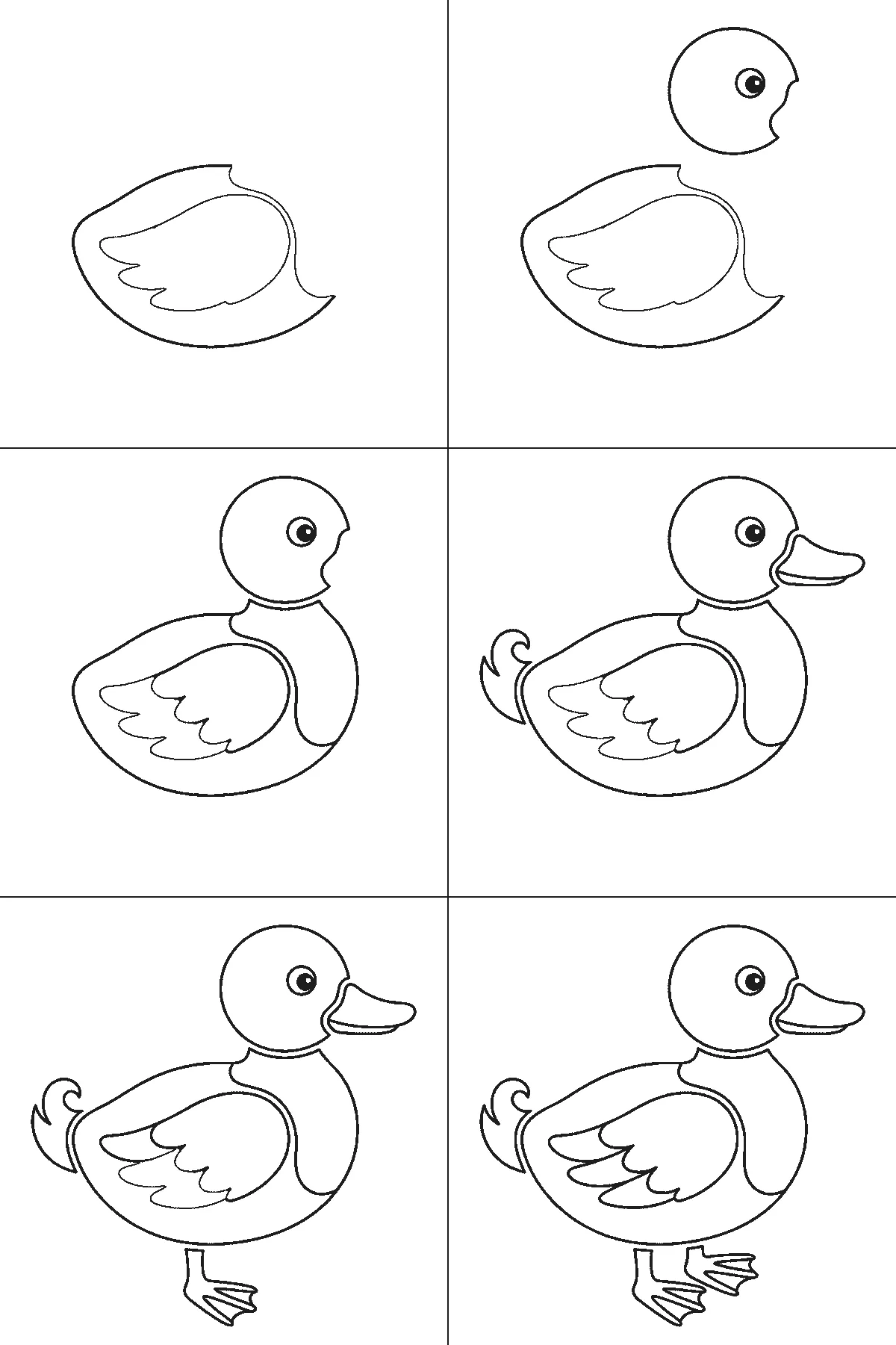 Step-by-step drawing sheet: a duck standing in profile, built up over six frames from the folded wing to the head, body, bill and webbed feet, black outlines on white