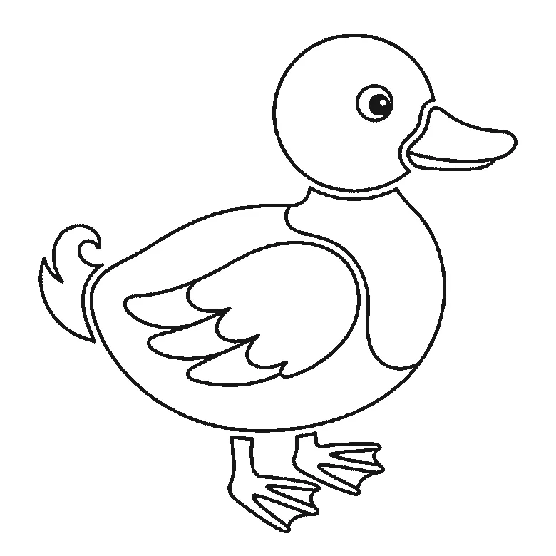 Step-by-step drawing sheet: a duck standing in profile, built up over six frames from the folded wing to the head, body, bill and webbed feet, black outlines on white