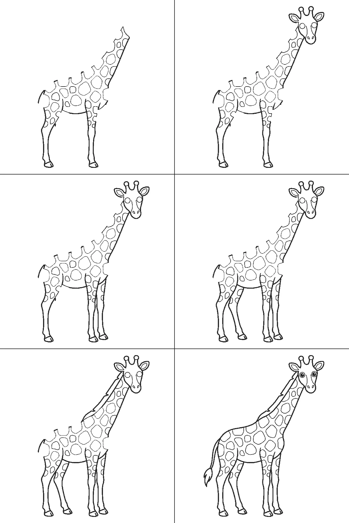 Step-by-step drawing sheet: a giraffe standing in profile with its head turned to the viewer, built up over six frames from the body, neck and legs to the coat patches and face, black outlines on white
