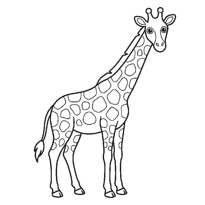 Step-by-step drawing sheet: a giraffe standing in profile with its head turned to the viewer, built up over six frames from the body, neck and legs to the coat patches and face, black outlines on white