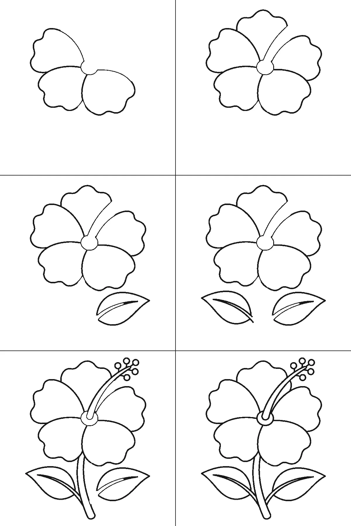 Step-by-step drawing sheet: an open hibiscus flower, built up over six frames from three of the five petals to the other two, then a leaf per frame, with the long stamen column and the stem at the fifth frame and the centre ring last, black outlines on white