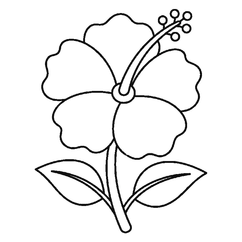 Step-by-step drawing sheet: an open hibiscus flower, built up over six frames from three of the five petals to the other two, then a leaf per frame, with the long stamen column and the stem at the fifth frame and the centre ring last, black outlines on white