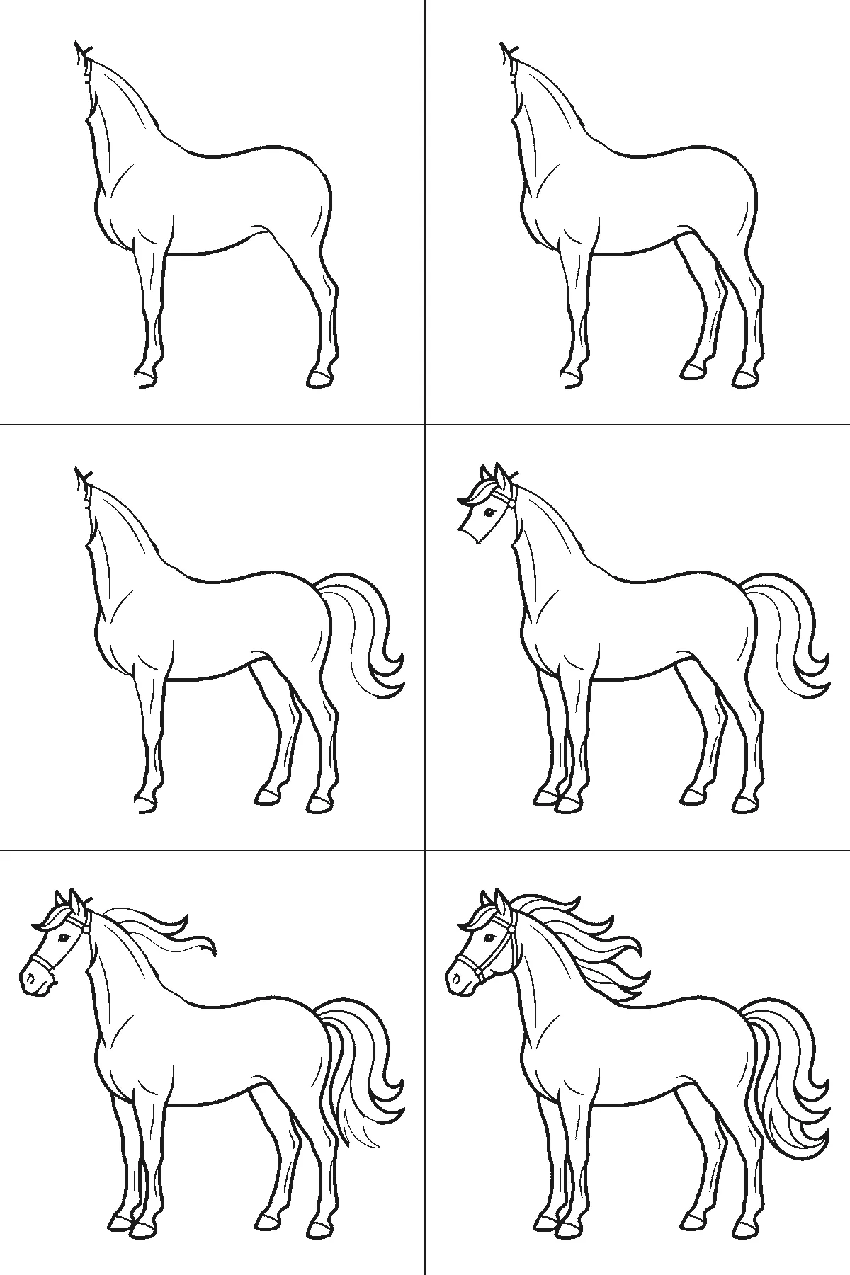 Step-by-step drawing sheet: a horse standing in profile, built up over six frames from the body, neck and near legs to the far legs, the tail, and the head and mane last, black outlines on white