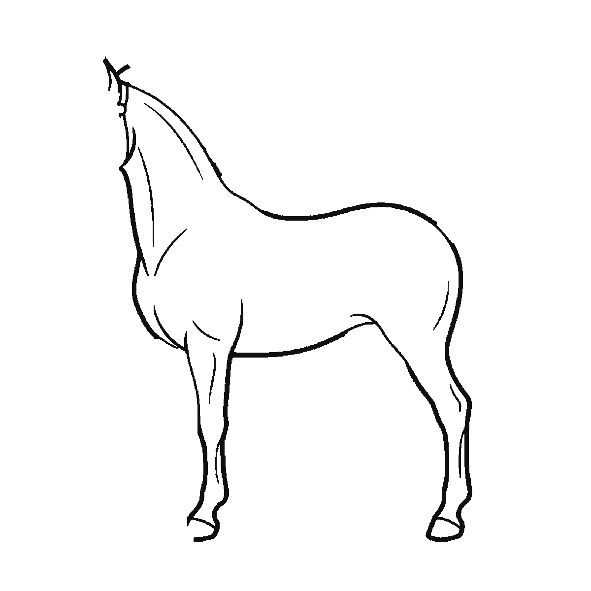 Step 1 of 6: Step-by-step drawing sheet: a horse standing in profile, built up over six frames from the body, neck and near legs to the far legs, the tail, and the head and mane last, black outlines on white