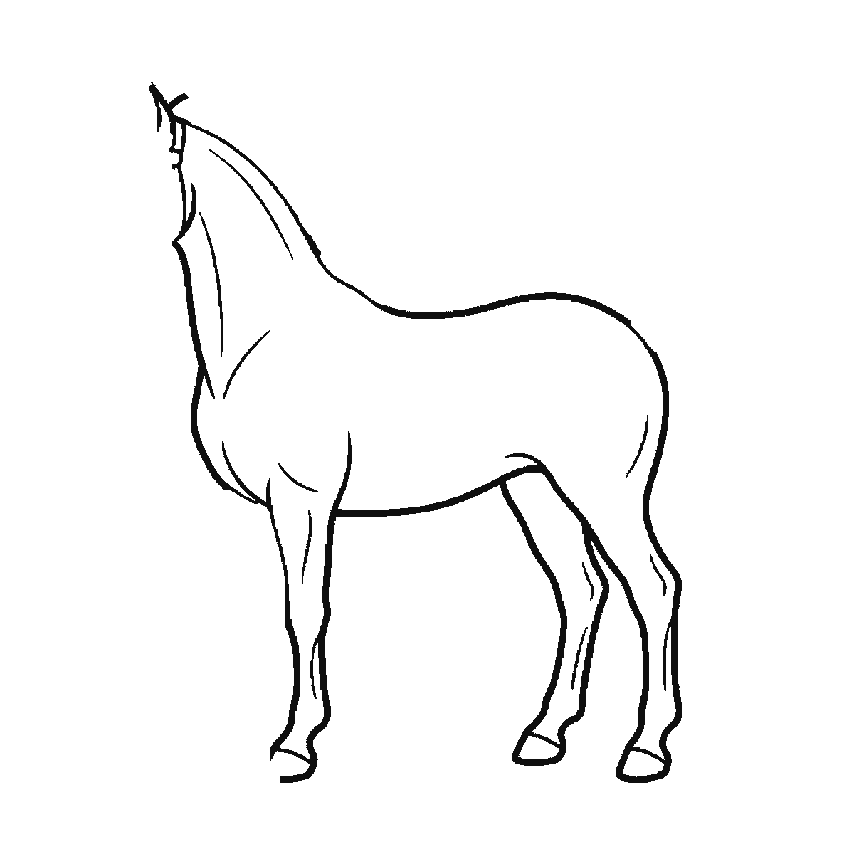 Step 2 of 6: Step-by-step drawing sheet: a horse standing in profile, built up over six frames from the body, neck and near legs to the far legs, the tail, and the head and mane last, black outlines on white