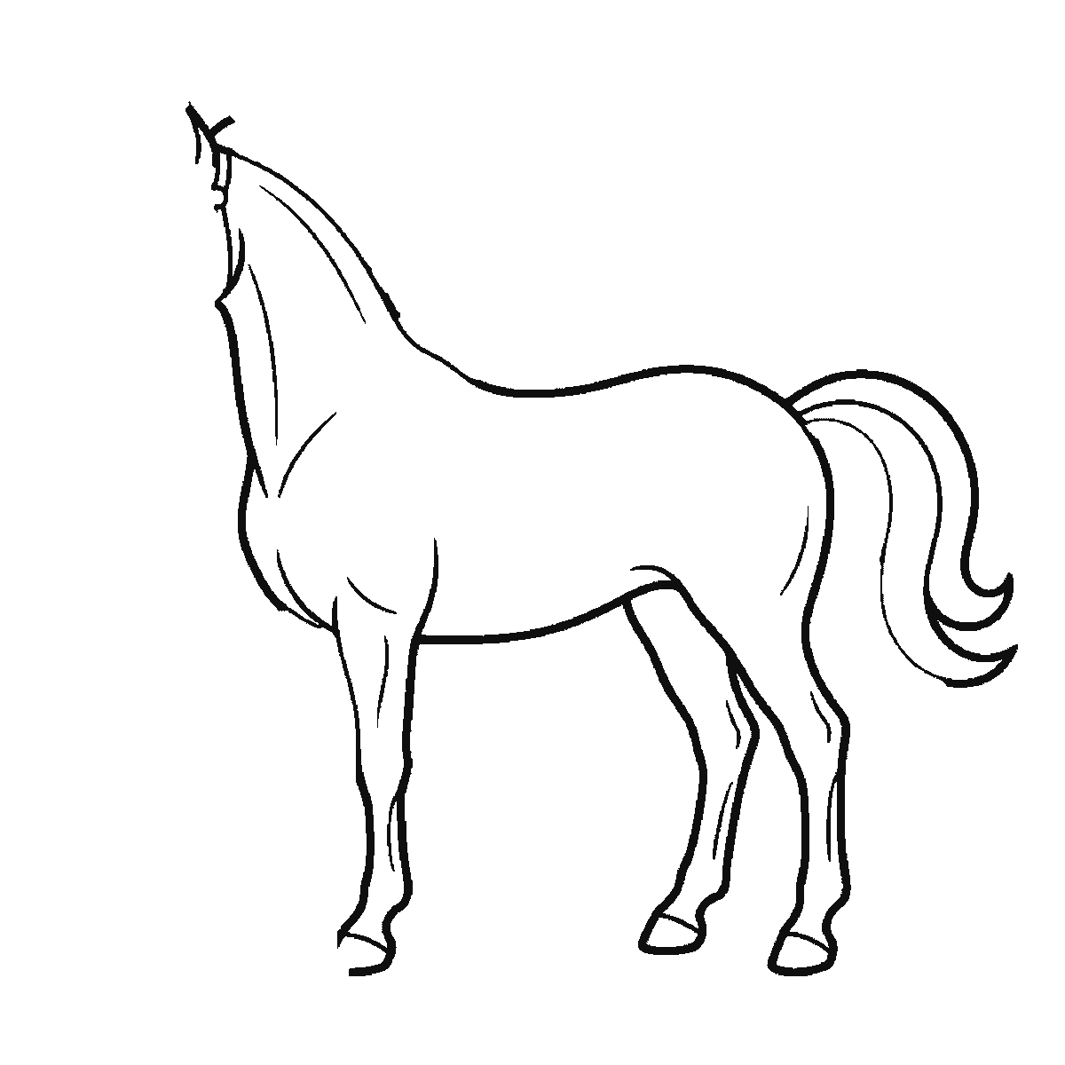 Step 3 of 6: Step-by-step drawing sheet: a horse standing in profile, built up over six frames from the body, neck and near legs to the far legs, the tail, and the head and mane last, black outlines on white