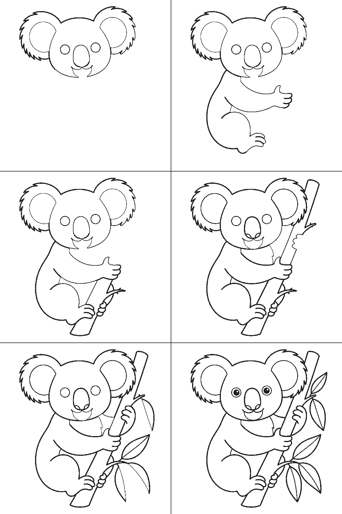 Step-by-step drawing sheet: a koala clinging to an upright eucalyptus branch, built up over six frames from the whole head and both fringed ears to the body and near arm, then the branch, with the leaves and the two filled eyes last, black outlines on white