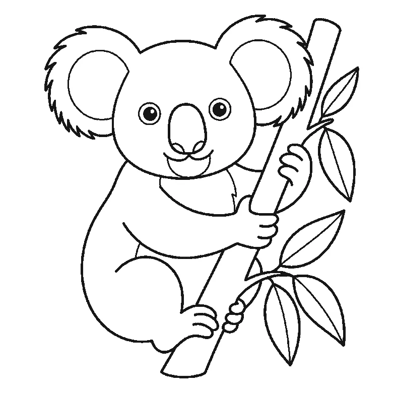 Step-by-step drawing sheet: a koala clinging to an upright eucalyptus branch, built up over six frames from the whole head and both fringed ears to the body and near arm, then the branch, with the leaves and the two filled eyes last, black outlines on white