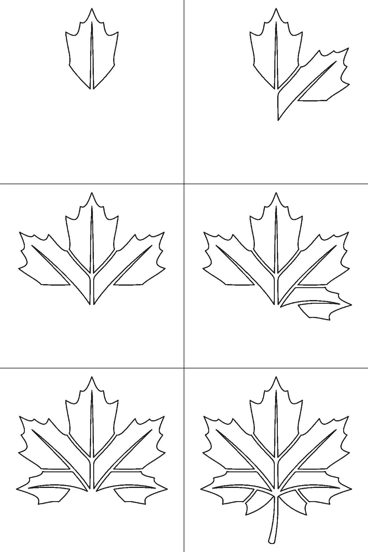 Step-by-step drawing sheet: a five-lobed maple leaf, built up over six frames one lobe at a time with its centre vein, starting at the top and alternating right and left, with the two small base lobes and the stem last, black outlines on white