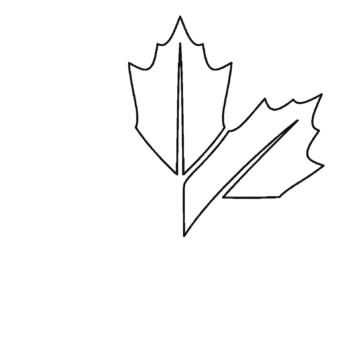 Step 2 of 6: Step-by-step drawing sheet: a five-lobed maple leaf, built up over six frames one lobe at a time with its centre vein, starting at the top and alternating right and left, with the two small base lobes and the stem last, black outlines on white