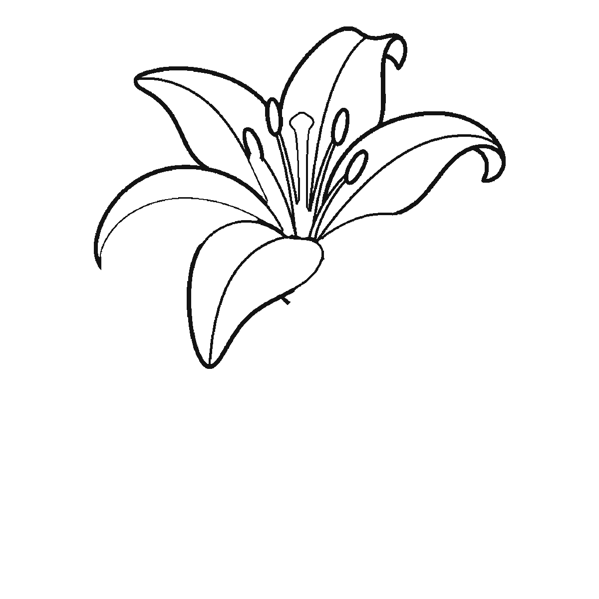 Step 3 of 6: Step-by-step drawing sheet: an open lily on a stem, built up over six frames from three of the six petals to the rest two at a time, then the stem and the two long leaves, with the central pistil and stamens last, black outlines on white