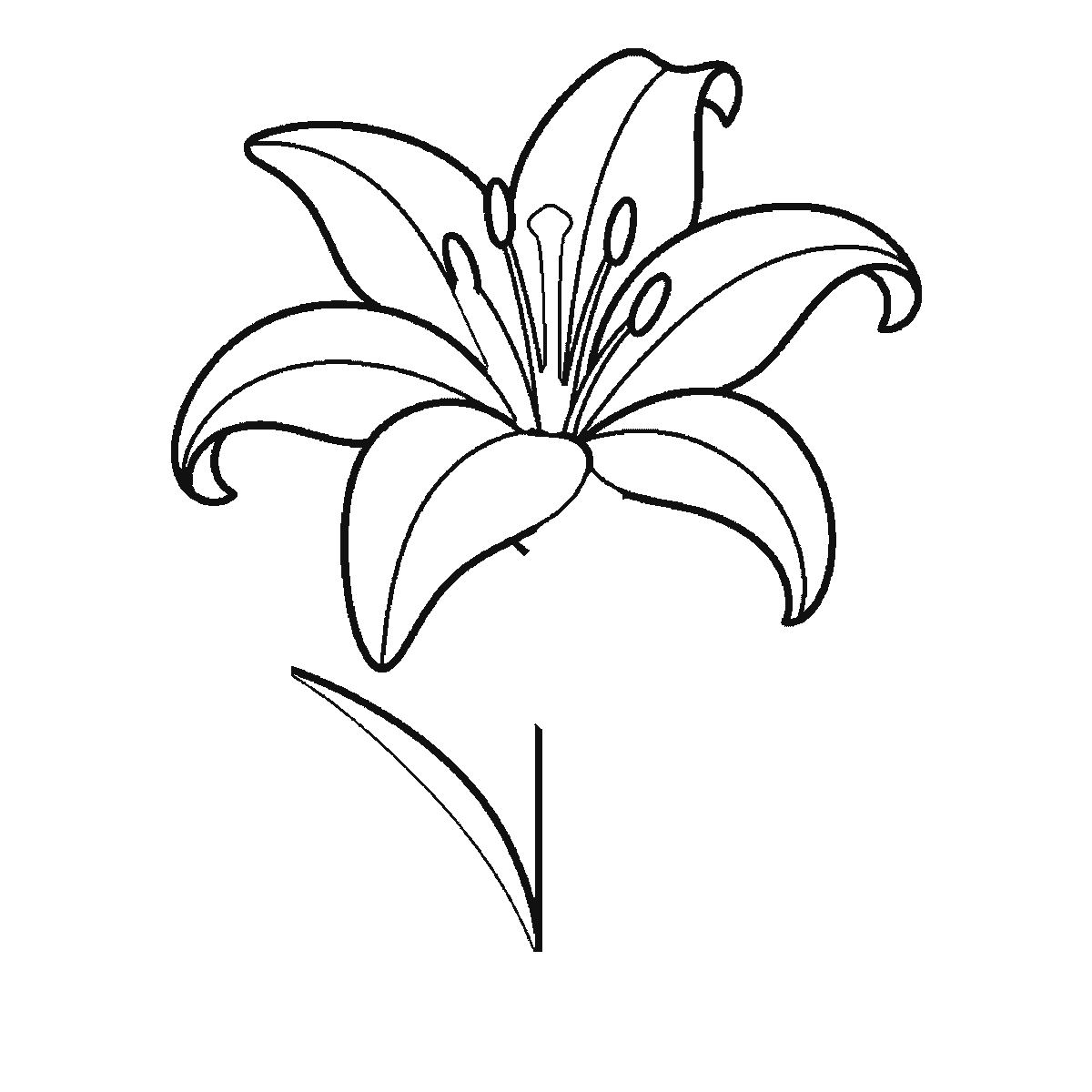 Step 4 of 6: Step-by-step drawing sheet: an open lily on a stem, built up over six frames from three of the six petals to the rest two at a time, then the stem and the two long leaves, with the central pistil and stamens last, black outlines on white