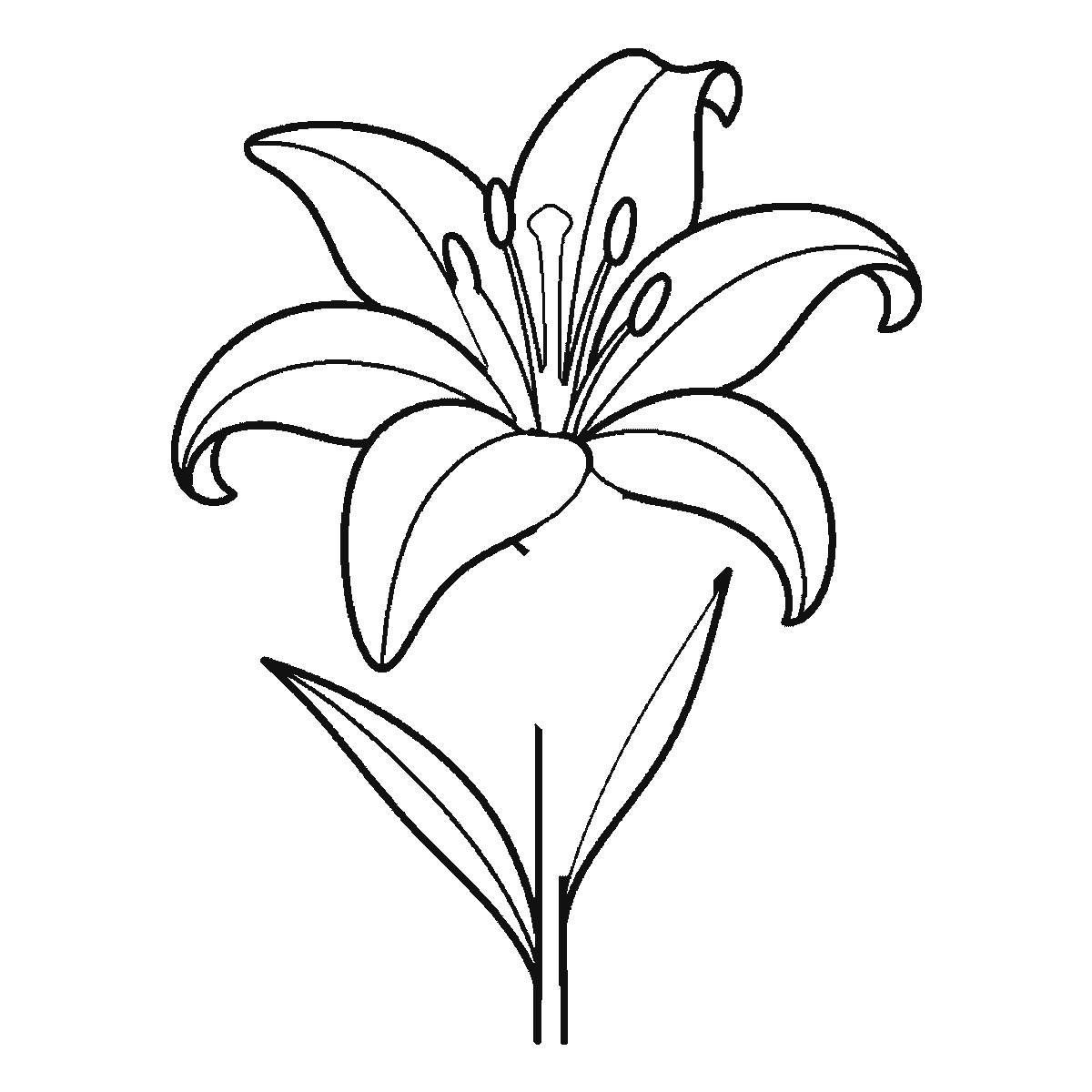Step 5 of 6: Step-by-step drawing sheet: an open lily on a stem, built up over six frames from three of the six petals to the rest two at a time, then the stem and the two long leaves, with the central pistil and stamens last, black outlines on white