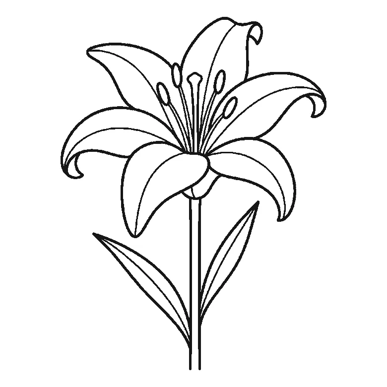 Step-by-step drawing sheet: an open lily on a stem, built up over six frames from three of the six petals to the rest two at a time, then the stem and the two long leaves, with the central pistil and stamens last, black outlines on white