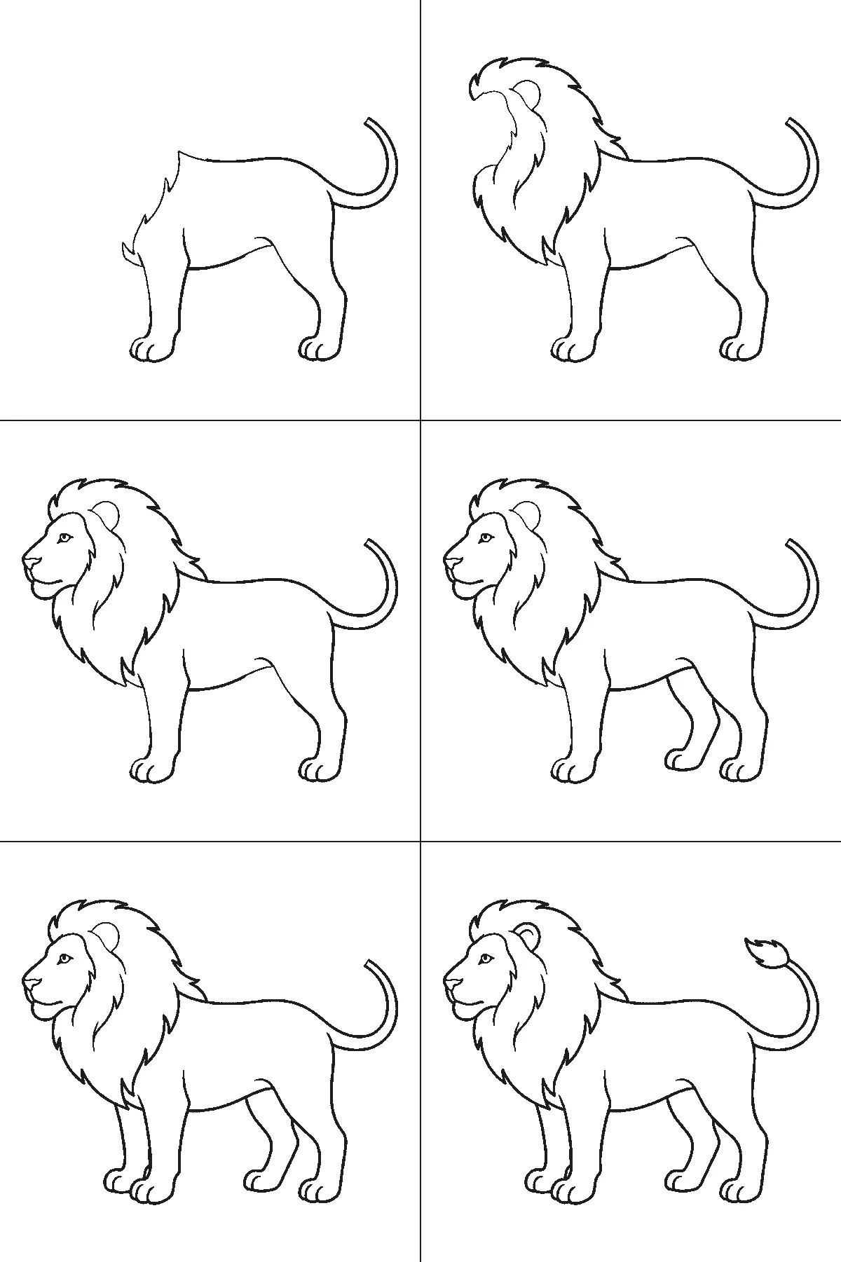 Step-by-step drawing sheet: a lion standing in profile, built up over six frames from the body and near legs to the shaggy mane, the face, the two far legs, and the ear and tail tuft last, black outlines on white