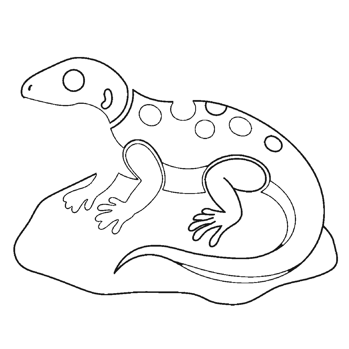 Step 4 of 6: Step-by-step drawing sheet: a lizard basking on a rock, built up over six frames from the rock and two legs to the body with its row of back spots and the tail, then the head with its eye outline, with the far legs, the filled eye and the thickened spots last, black outlines on white