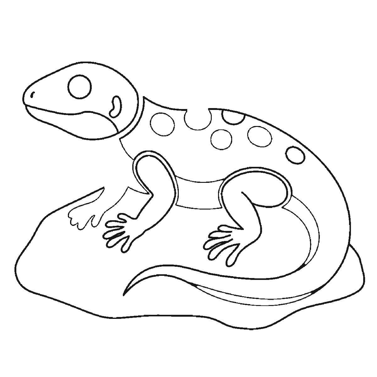 Step 5 of 6: Step-by-step drawing sheet: a lizard basking on a rock, built up over six frames from the rock and two legs to the body with its row of back spots and the tail, then the head with its eye outline, with the far legs, the filled eye and the thickened spots last, black outlines on white