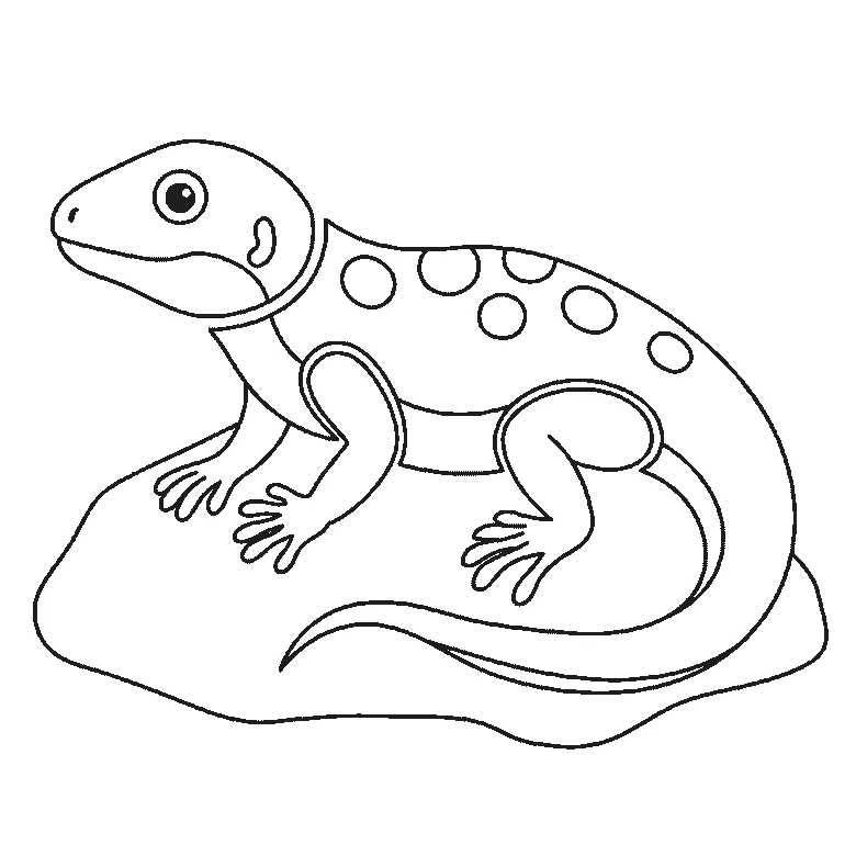Step-by-step drawing sheet: a lizard basking on a rock, built up over six frames from the rock and two legs to the body with its row of back spots and the tail, then the head with its eye outline, with the far legs, the filled eye and the thickened spots last, black outlines on white