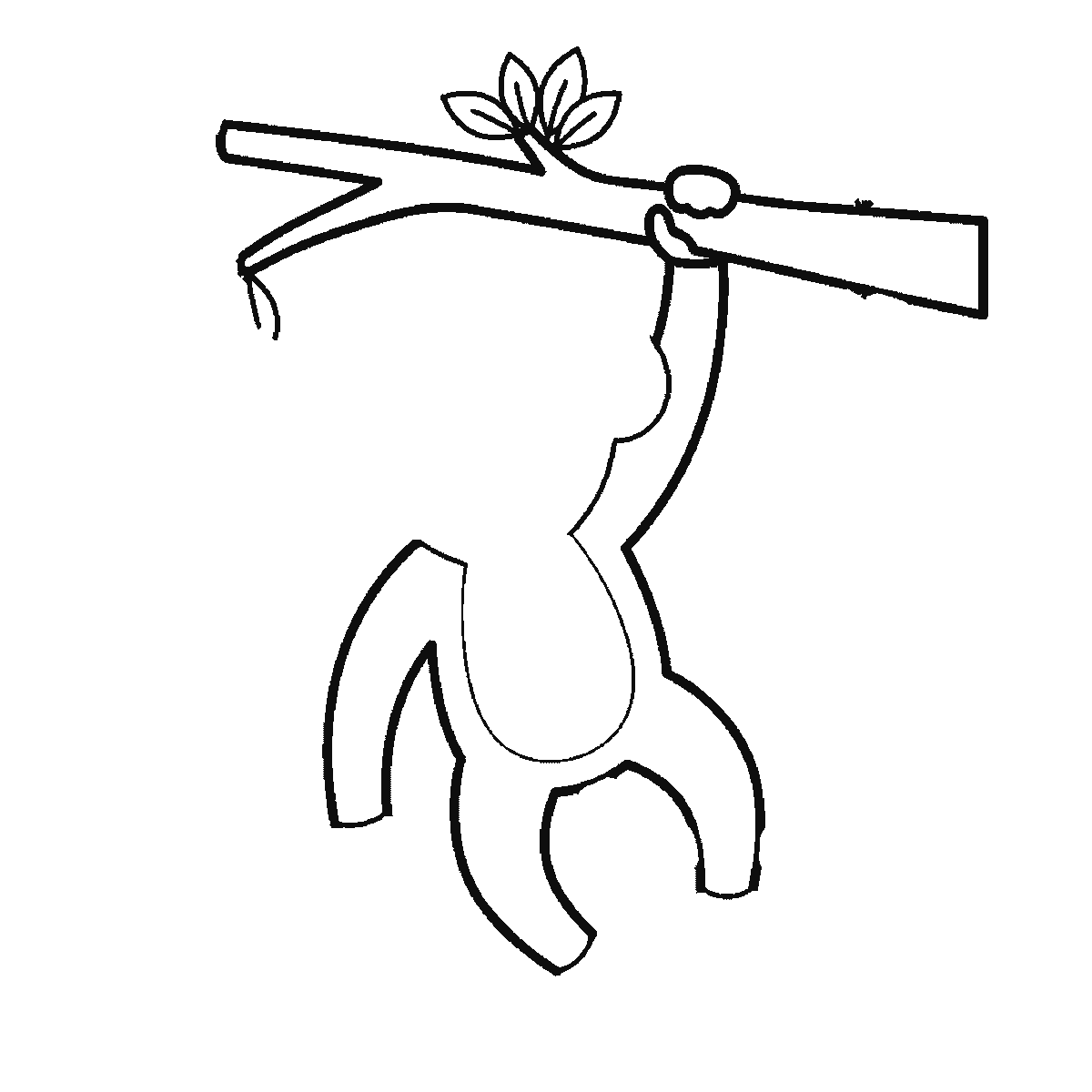 Step 2 of 6: Step-by-step drawing sheet: a monkey hanging by one arm from a leafy branch, built up over six frames from the limbs to the branch, face and curling tail, black outlines on white