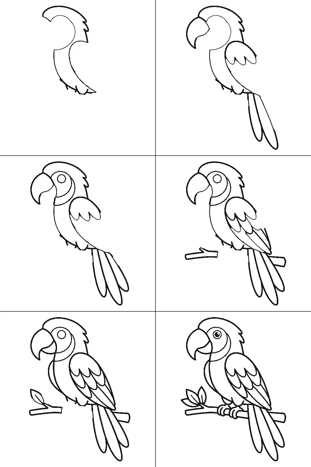Step-by-step drawing sheet: a parrot side-on on a leafy branch, built up over six frames from the head crest and the breast to the beak, the wing and the first tail feather, then the branch and the leaves, with the eye and the gripping feet last, black outlines on white
