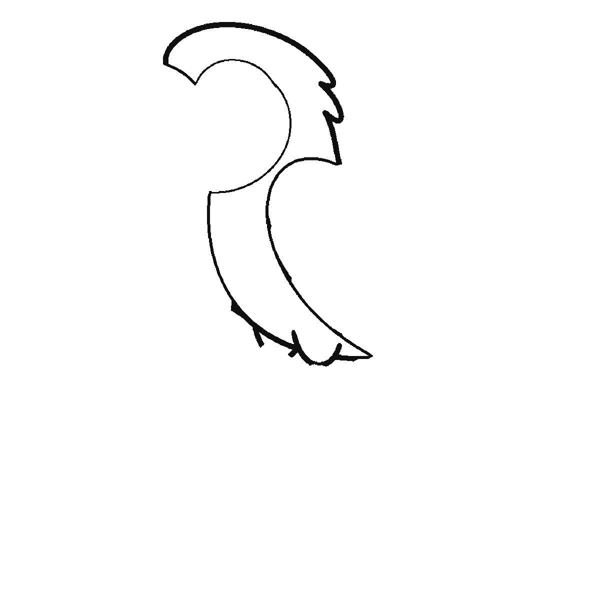 Step 1 of 6: Step-by-step drawing sheet: a parrot side-on on a leafy branch, built up over six frames from the head crest and the breast to the beak, the wing and the first tail feather, then the branch and the leaves, with the eye and the gripping feet last, black outlines on white