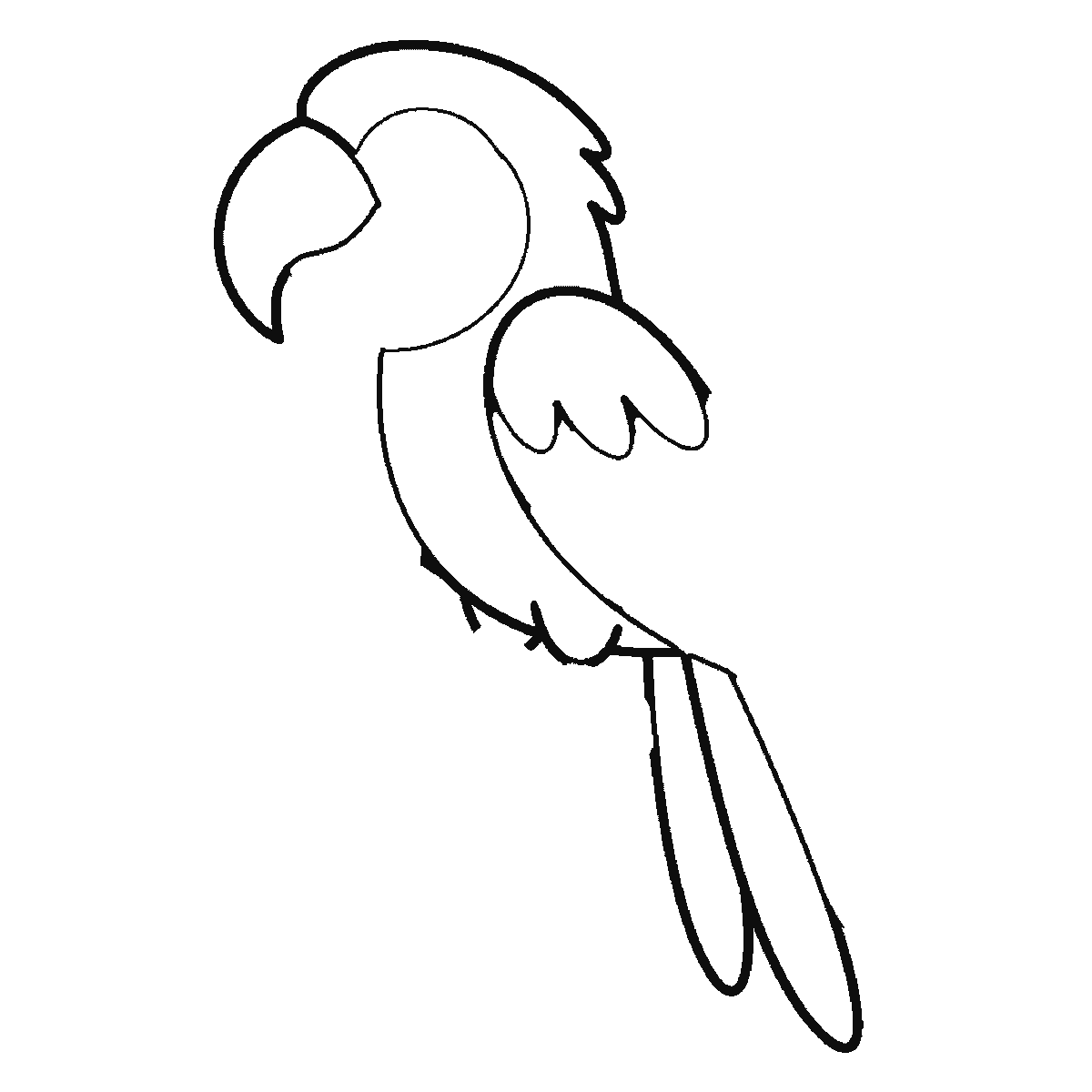 Step 2 of 6: Step-by-step drawing sheet: a parrot side-on on a leafy branch, built up over six frames from the head crest and the breast to the beak, the wing and the first tail feather, then the branch and the leaves, with the eye and the gripping feet last, black outlines on white