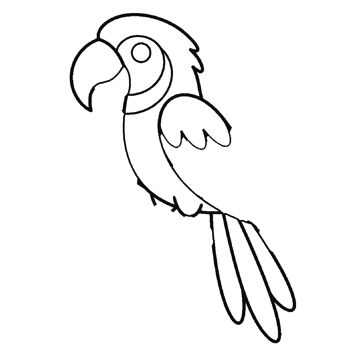 Step 3 of 6: Step-by-step drawing sheet: a parrot side-on on a leafy branch, built up over six frames from the head crest and the breast to the beak, the wing and the first tail feather, then the branch and the leaves, with the eye and the gripping feet last, black outlines on white