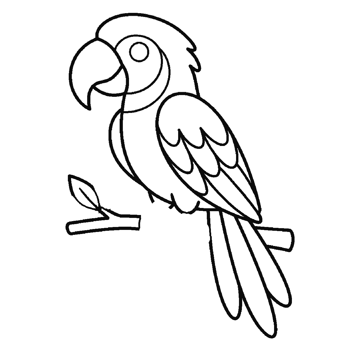 Step 5 of 6: Step-by-step drawing sheet: a parrot side-on on a leafy branch, built up over six frames from the head crest and the breast to the beak, the wing and the first tail feather, then the branch and the leaves, with the eye and the gripping feet last, black outlines on white