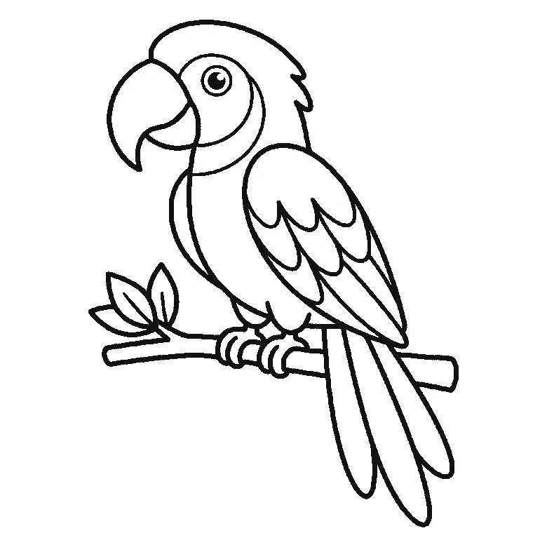 Step-by-step drawing sheet: a parrot side-on on a leafy branch, built up over six frames from the head crest and the breast to the beak, the wing and the first tail feather, then the branch and the leaves, with the eye and the gripping feet last, black outlines on white