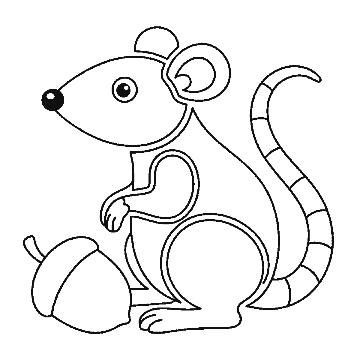 Step 6 of 6: Step-by-step drawing sheet: a rat sitting up beside an acorn, built up over six frames from the head with its filled nose and the round haunch to the acorn and the front leg, then the ear and the back, with the long banded tail and the filled eye last, black outlines on white