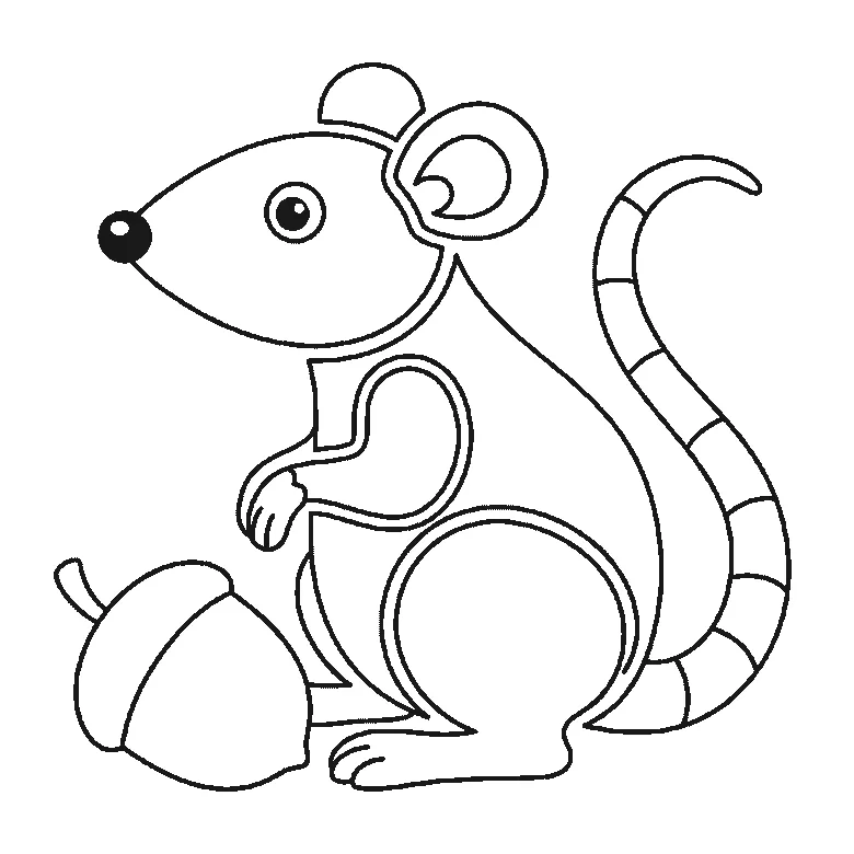 Step-by-step drawing sheet: a rat sitting up beside an acorn, built up over six frames from the head with its filled nose and the round haunch to the acorn and the front leg, then the ear and the back, with the long banded tail and the filled eye last, black outlines on white