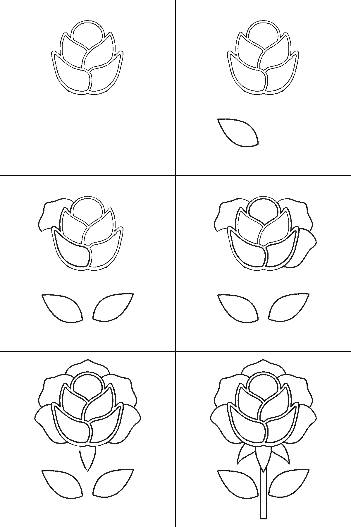 Step-by-step drawing sheet: an open rose on a stem, built up over six frames from the centre cluster to the leaves, outer petals and stem, black outlines on white