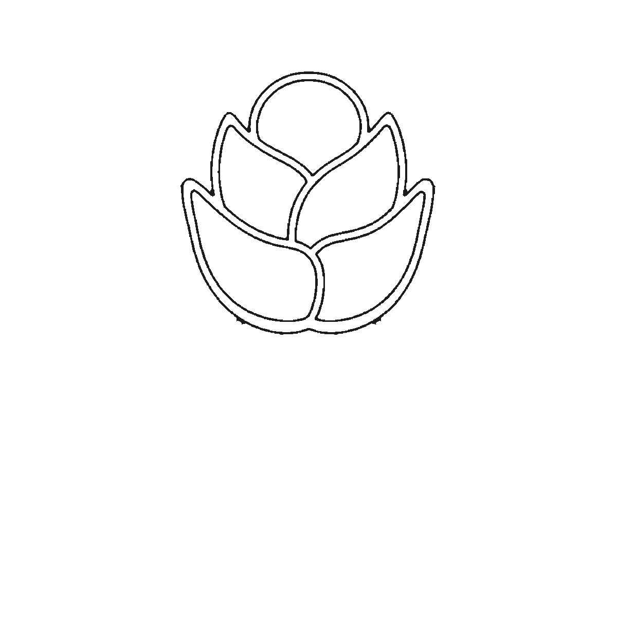 Step 1 of 6: Step-by-step drawing sheet: an open rose on a stem, built up over six frames from the centre cluster to the leaves, outer petals and stem, black outlines on white
