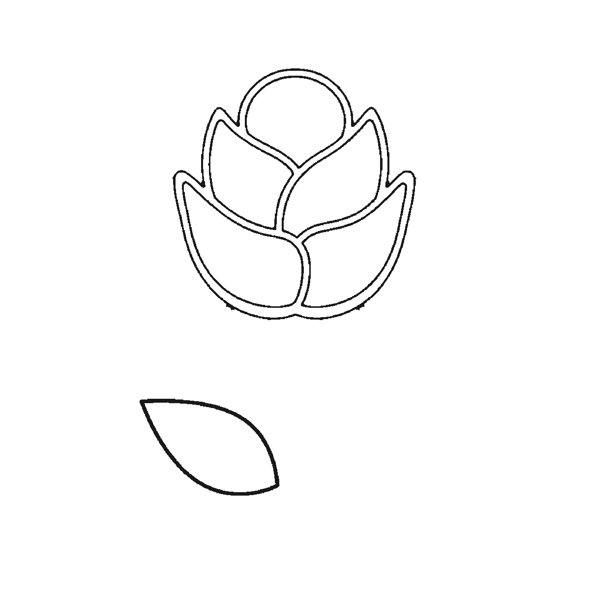 Step 2 of 6: Step-by-step drawing sheet: an open rose on a stem, built up over six frames from the centre cluster to the leaves, outer petals and stem, black outlines on white