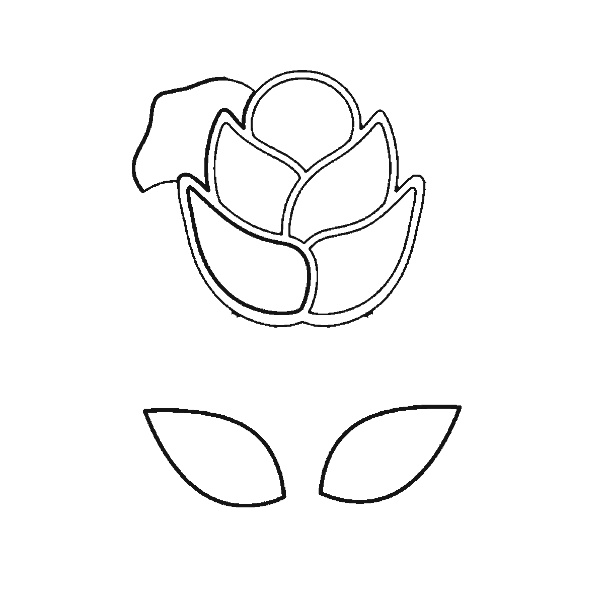 Step 3 of 6: Step-by-step drawing sheet: an open rose on a stem, built up over six frames from the centre cluster to the leaves, outer petals and stem, black outlines on white
