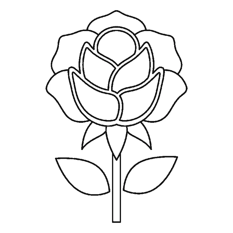 Step-by-step drawing sheet: an open rose on a stem, built up over six frames from the centre cluster to the leaves, outer petals and stem, black outlines on white