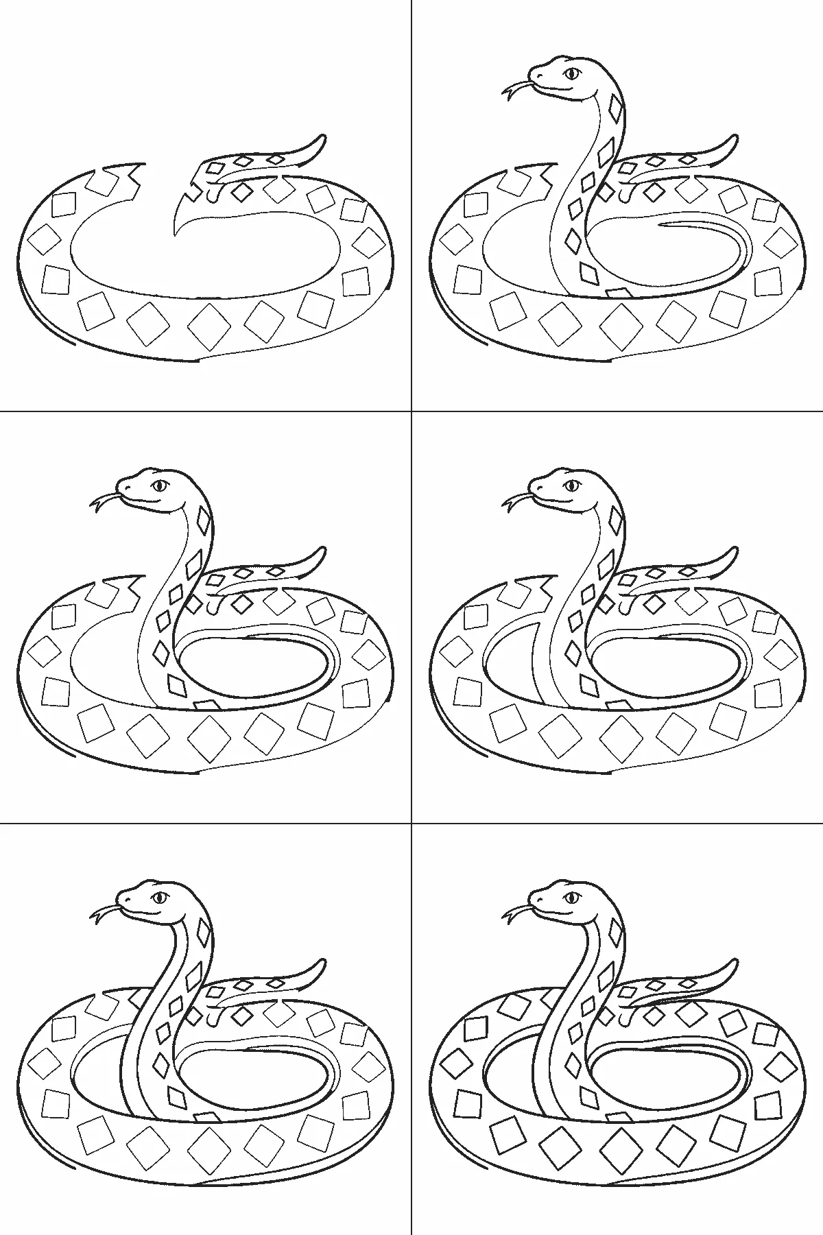 Step-by-step drawing sheet: a snake coiled in two loops with its head raised, built up over six frames from almost the whole coil to the inner edge and diamond markings, black outlines on white