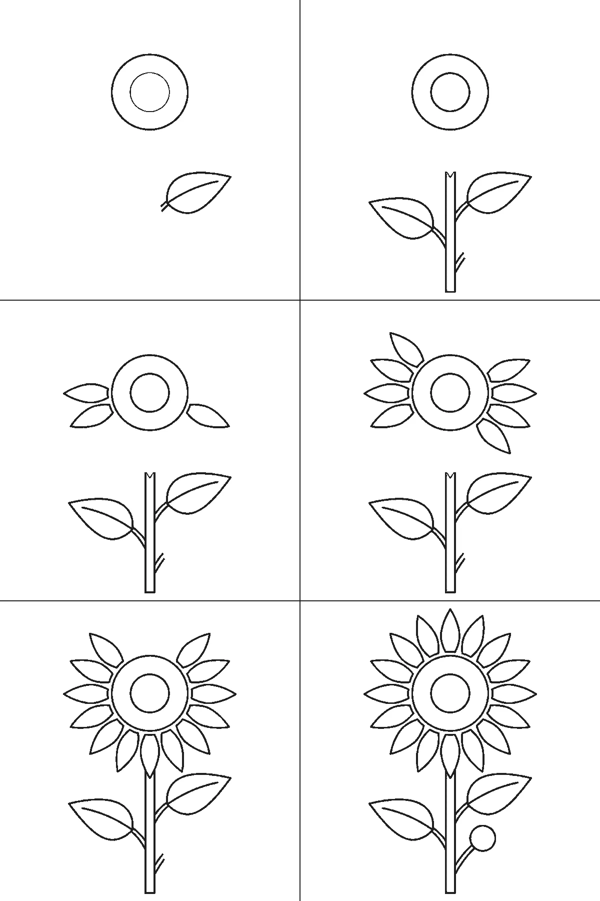 Step-by-step drawing sheet: a tall sunflower with two leaves and a bud, built up over six frames from the seed head and one leaf to the stem and the second leaf, with the long pointed petals arriving a few at a time across the last four frames and the bud last, black outlines on white