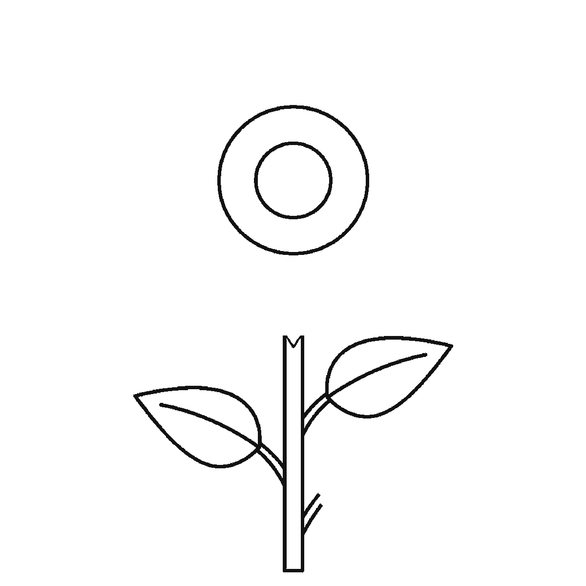 Step 2 of 6: Step-by-step drawing sheet: a tall sunflower with two leaves and a bud, built up over six frames from the seed head and one leaf to the stem and the second leaf, with the long pointed petals arriving a few at a time across the last four frames and the bud last, black outlines on white