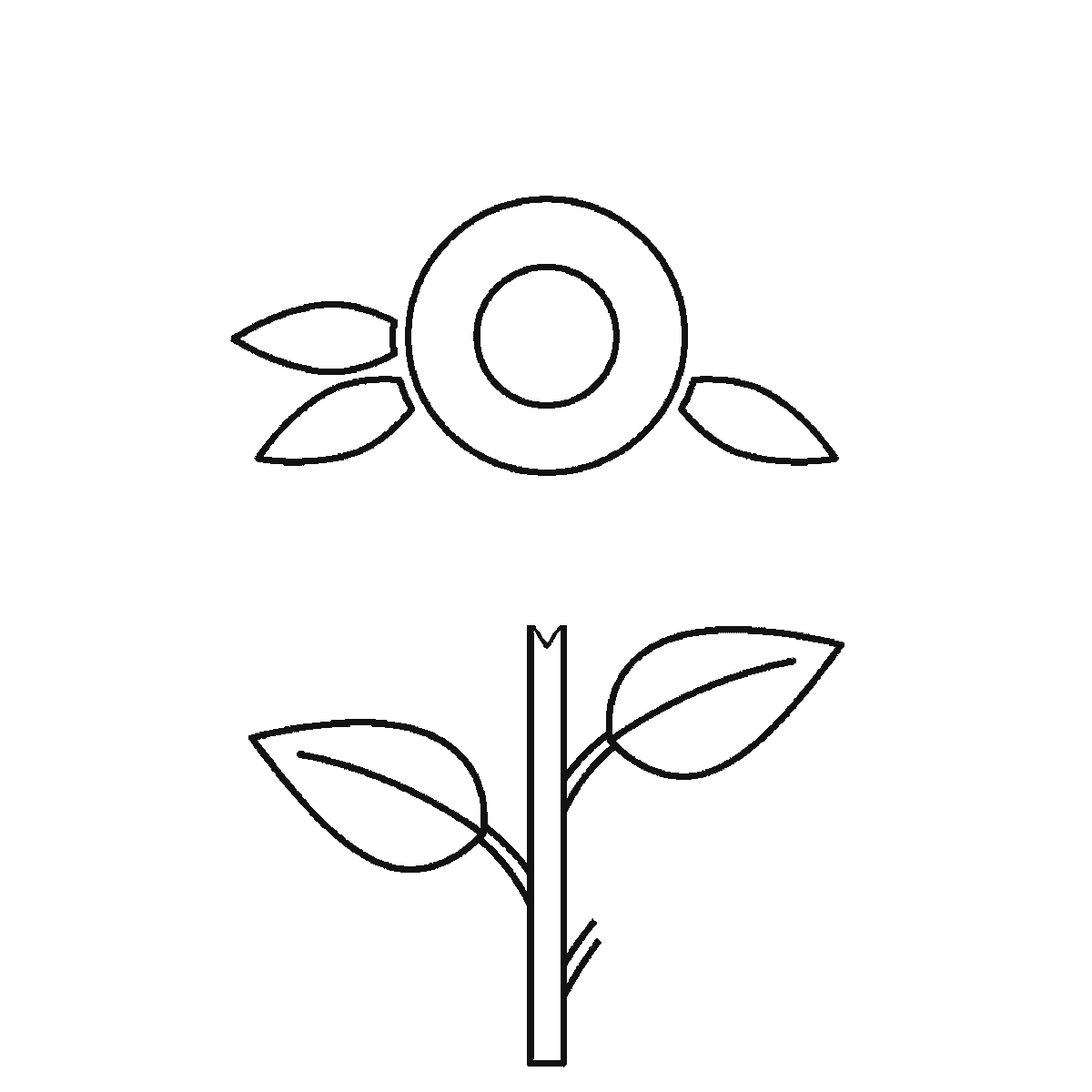 Step 3 of 6: Step-by-step drawing sheet: a tall sunflower with two leaves and a bud, built up over six frames from the seed head and one leaf to the stem and the second leaf, with the long pointed petals arriving a few at a time across the last four frames and the bud last, black outlines on white