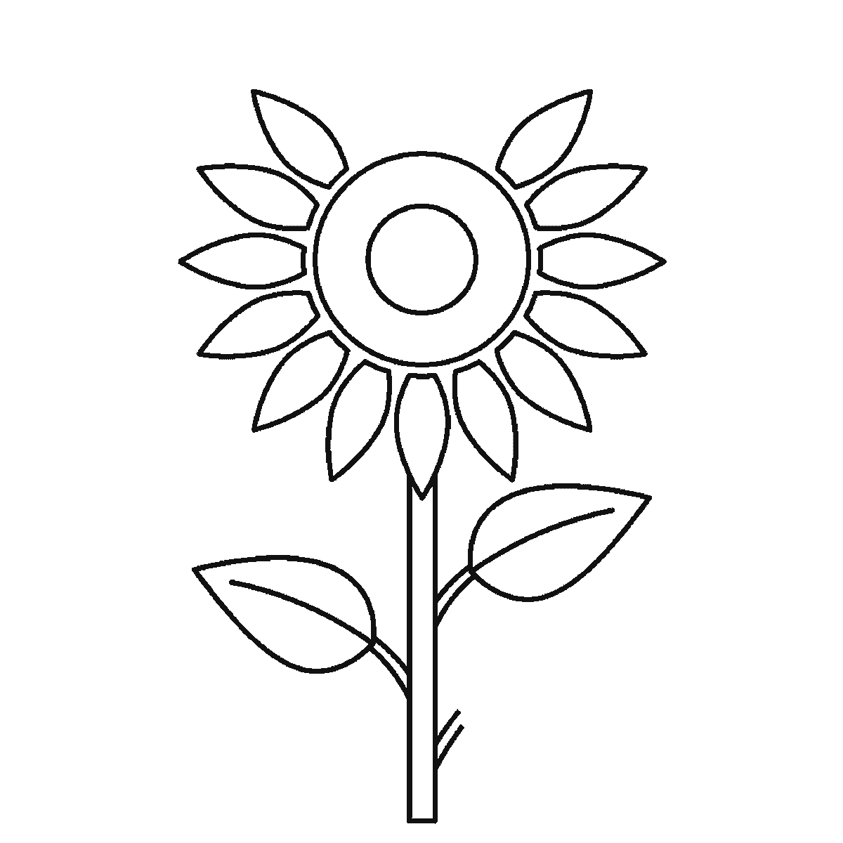 Step 5 of 6: Step-by-step drawing sheet: a tall sunflower with two leaves and a bud, built up over six frames from the seed head and one leaf to the stem and the second leaf, with the long pointed petals arriving a few at a time across the last four frames and the bud last, black outlines on white