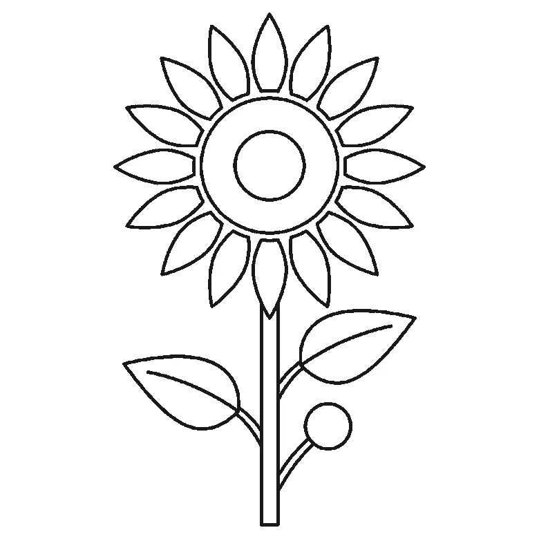 Step-by-step drawing sheet: a tall sunflower with two leaves and a bud, built up over six frames from the seed head and one leaf to the stem and the second leaf, with the long pointed petals arriving a few at a time across the last four frames and the bud last, black outlines on white
