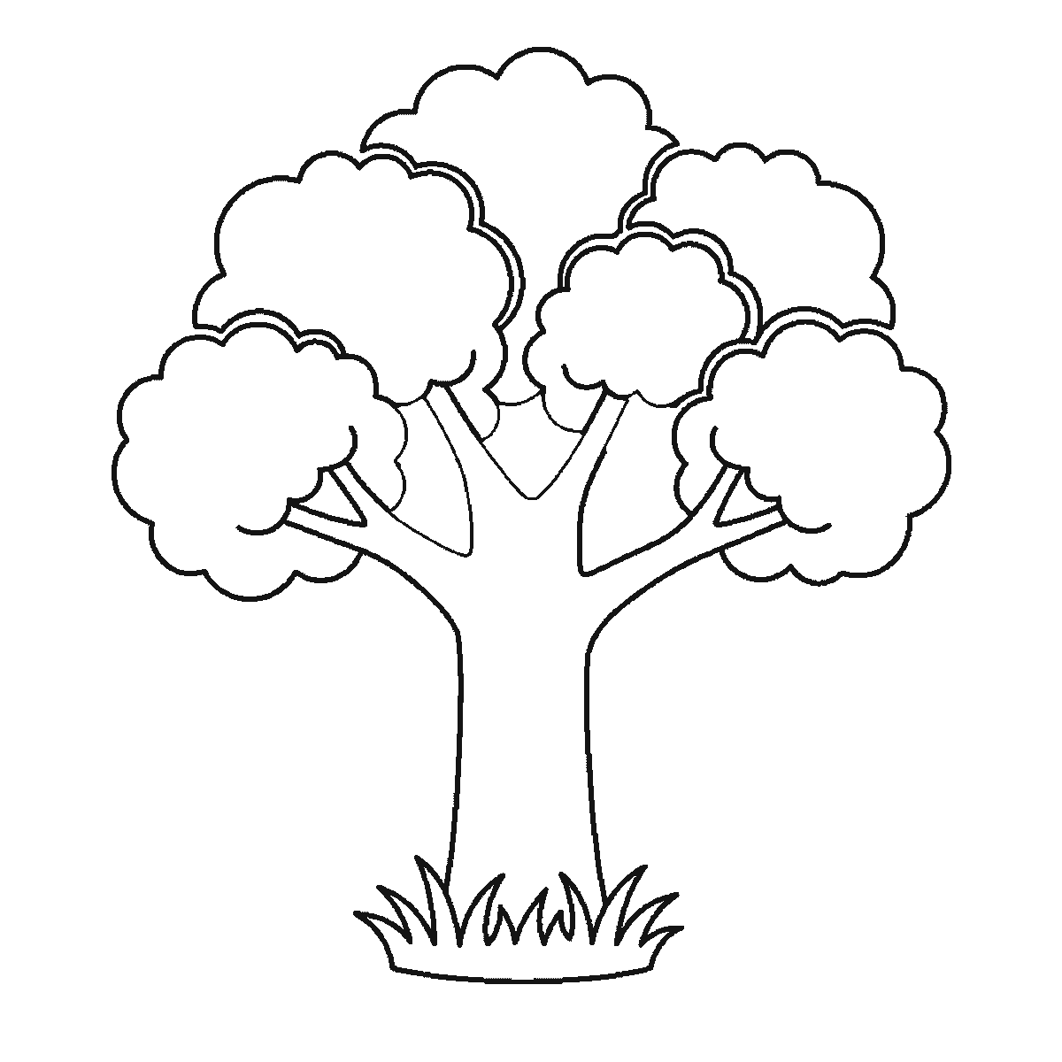 Step 5 of 6: Step-by-step drawing sheet: a broad-leaved tree, built up over six frames from the trunk to the branches and the clumps of foliage, black outlines on white