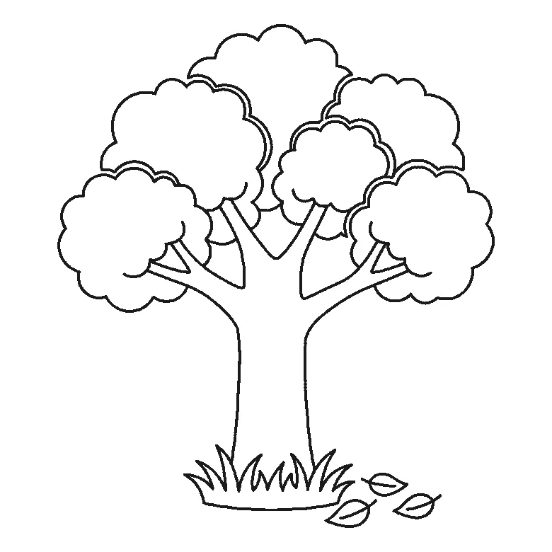 Step-by-step drawing sheet: a broad-leaved tree, built up over six frames from the trunk to the branches and the clumps of foliage, black outlines on white